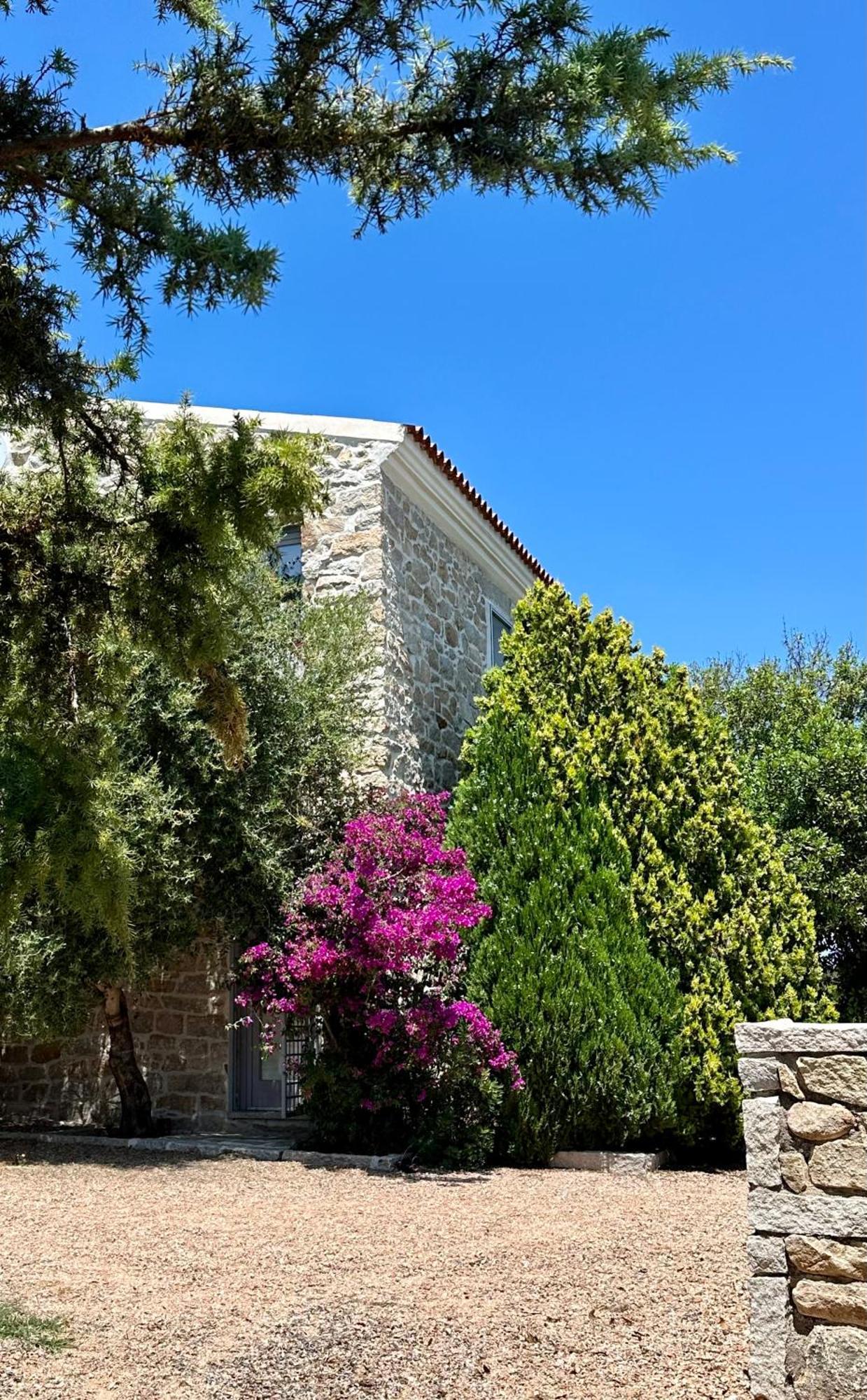 Villa Maria Cristina Santa Teresa Gallura Extérieur photo